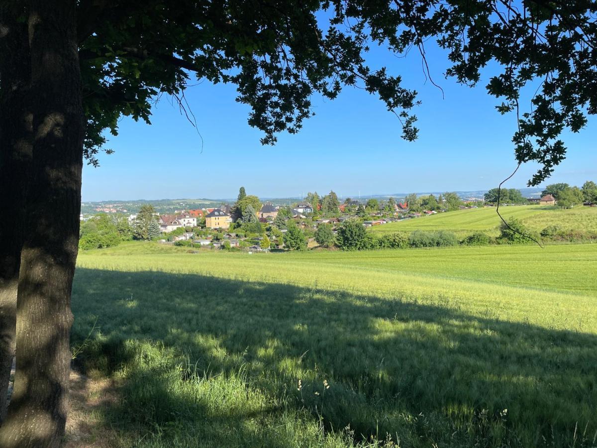 "Glueck Auf" Lichtdurchflutete Schicke Ferienwohnung In Zwickau Exteriör bild